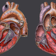 Image for article titled The Thrilling Tale Of The Very First Heart Surgery